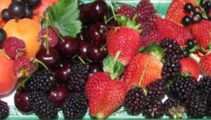 Sorell Fruit Farm