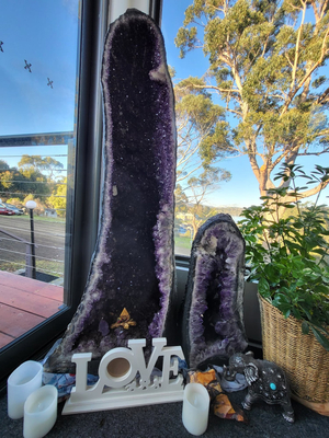 Tas Grace Sanctuary