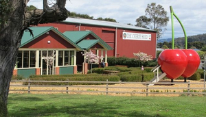 The Cherry Shed