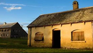 Woolmer's Estate