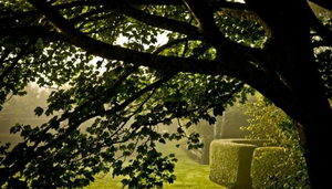 Wychwood Garden and Nursery