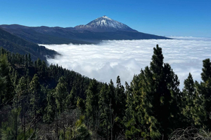 Tenerife : visite en voiture du Teide et du nord de l'île.
