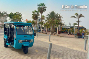 Costa Adeje: Tuk-Tuk Tour of South Tenerife (3 hours)
