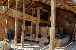Da Las Américas! Degustazione VIP di vini e pranzo in un Guachinche a 1200 m