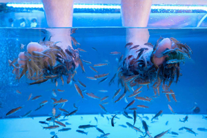 Fish Spa Experience Playa Fañabe