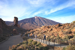 From South Tenerife: Teide National Park Tour