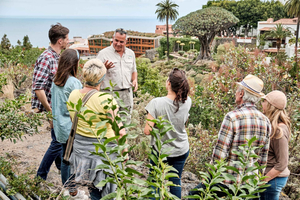 From South Tenerife: VIP Grand Tour Tenerife island