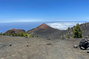 La Palma: Guided trekking tour to volcanoes south