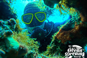 Los Cristianos: Basic Diver Course