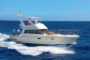 Los Cristianos: Private yacht rental for whale watching with food and a swim