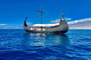 Los Cristianos: Viking Cruise Whales & Dolphins Watching