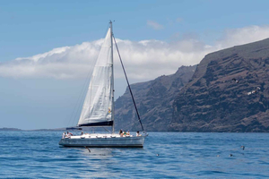 Los Gigantes: Private Sailing Tour with Swim, Drink, & Tapas