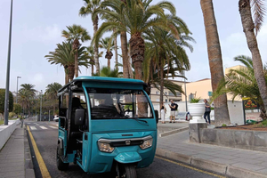 Noorden-expres: klassieke route door Puerto de la Cruz, Tenerife, met de tuktuk (1 uur)