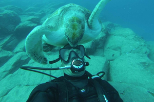 PADI Discover Scuba Diving Course in Tenerife