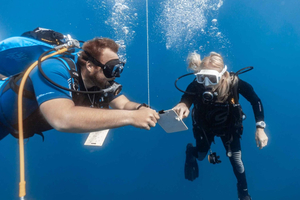 PADI Open Water Diving Course Tenerife