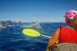 Teneryfa: Wycieczka kajakiem z Palm-Mar do Turtle Bay z delfinami