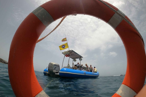 Puerto Colon: Dolphin and Whale Watching Speedboat Tour