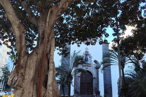 Santa Cruz de Tenerife: A Prestige Places Crawl