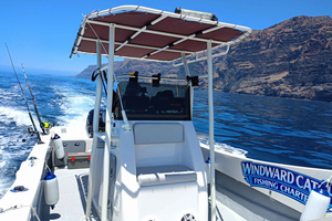 South 6-Hour Jigging Fishing Charter