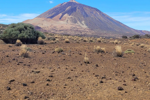 Teide National Park Hike: El Cerrillar Volcano – Small Group, max 10 people