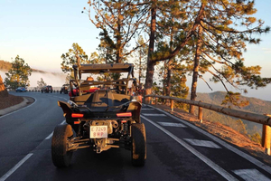 Tenerife: 3,5 Hours Buggy Tour from South Tenerife