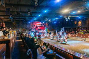 Tenerife: Castillo San Miguel Medieval Show and Banquet