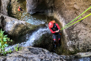Tenerife: Guided Canyoning Experience