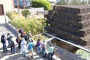 Tenerife: Guided tour at Pirámides de Güímar
