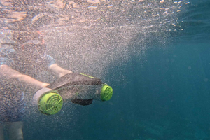 Tenerife: Kayak Tour with Animals and Underwater Scooters