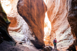 Tenerife: Los Arcos Canyoning Tour with Guide
