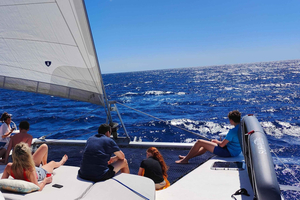 Tenerife: PRIVATE Catamaran cruise with Lunch and Drinks