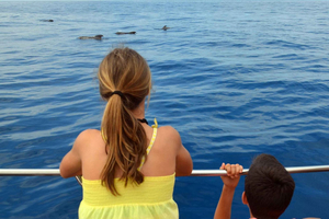 Tenerife South: Respectful Whale-Watching Pirate Boat & Swim