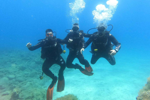 Tenerife south: Scuba Dive for beginners in Adeje