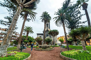 Tenerife Tour with Teide National Park and lunch