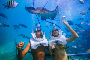 Tenerife: Underwater Walk - Sea Trek Experience