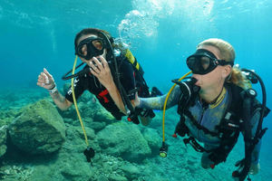 Try diving for the first time in turtle area