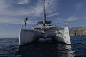 Whale and Dolphin Watching Catamaran Cruise