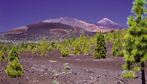 Tenerifeでの冒険行為