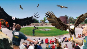 Jungle Park Las Aguilas