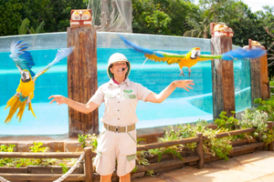 Jungle Park Tenerife Day Ticket