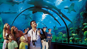 Loro Parque