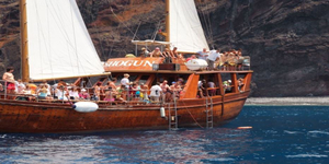 Shogun 5 hour boat trip (Los Gigantes/Masca)