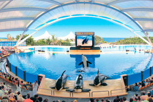  Teide & Loro Parque with Transfer from the South