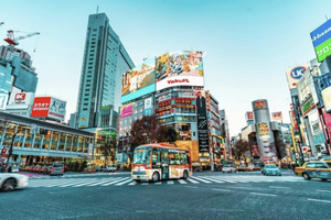 2 Days Private Guided Tokyo City & Mount Fuji Experience
