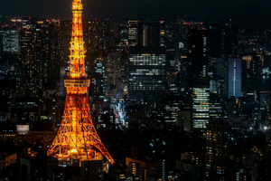 Tokyo : visite privée de nuit en voiture, tour de Tokyo et prise en charge à l'hôtel