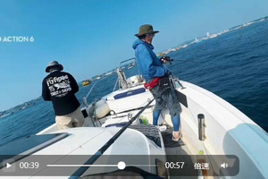 tour di pesca notturna nella baia con trasferimento