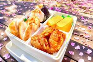 Bento Masterclass & Authentic Local Home Life Experience
