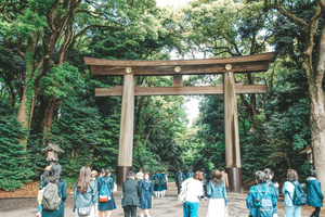 Big Highlights - Asakusa, Shibuya & Meiji Shrine tour