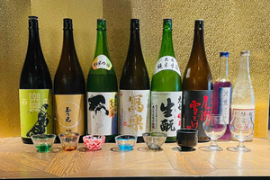 Casual Japanese sake tasting and snack experience, Kabukicho