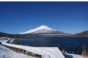 Crowd-Free Hidden Local Spots – Mt. Fuji Private Car Tour